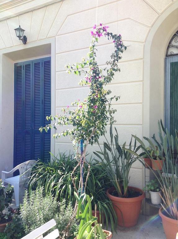 Casa Fornaciari Bed & Breakfast Viareggio Luaran gambar